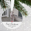 Search for puppy ornaments Modern