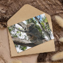 Recherche de marsupial cartes postales Marsupiaux