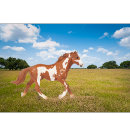 Recherche de peintures de cheval Pour enfants