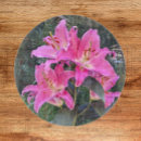 Recherche de fleur de lys planches à découper Lièvre