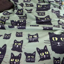 Recherche de halloween couvertures plaids Chaton