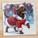 Recherche de christmas puzzles Festif