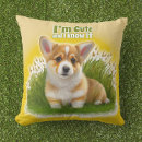 Search for cute corgi pillows Pet