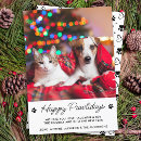 Search for cat person cards Pet