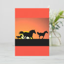 Search for horse sunset postcards Wild horses