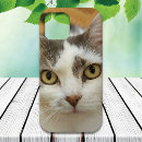 Search for for her cases Create your own