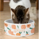 Recherche de écuelles Pour animaux