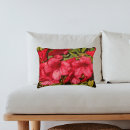 Recherche de arbustes coussins Botanique