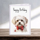 Search for maltese birthday cards Puppy
