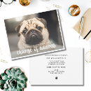Search for funny photo invitations Dog lover