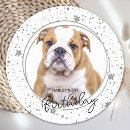 Search for band coasters Pet