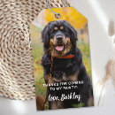 Recherche de anniversaire fêtes fournitures Animal