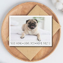 Search for dog photo postcards We have moved