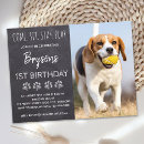 Search for first dog postcards Birthday