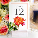 Recherche de thé hybride Aquarelle