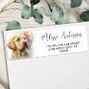 Search for yellow labrador retriever return address labels Dog