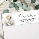 Recherche de cute dog étiquettes adresse retour Animal