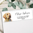 Search for yellow lab return address labels Pet