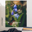 Search for glories art Botanical