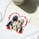 Search for bearded collie cards Puppy
