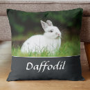 Search for pet loss pillows Sympathy