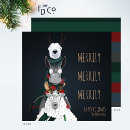 Search for funny donkey cards Festive