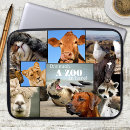 Search for petting zoo electronics Pets
