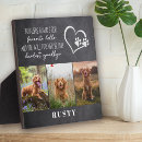 Recherche de pet supplies Moderne