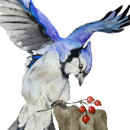 Search for blue jay iphone cases Animals