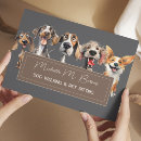Search for veterinary flyers Pet services
