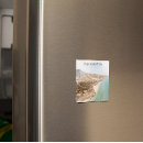 Search for canary island magnets Fuerteventura
