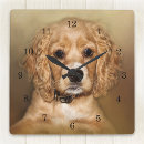 Recherche de de cocker horloges Chiot