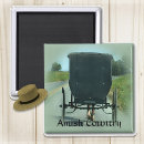 Search for buggie magnets Carriage