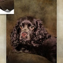 Search for painting of cocker spaniels posters Dogs