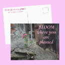 Search for where postcards Inspirational