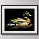 Search for decoy Animal
