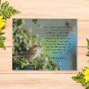 Search for sparrow puzzles Nature
