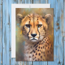 Search for big cat predators cards Africa
