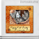 Search for crazy cat lady magnets Funny