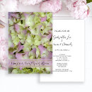 Search for hydrangea flowers wedding invitations Botanical