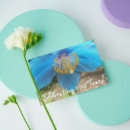 Search for centenarian Celebration