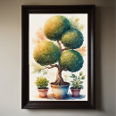 Search for topiary Floral
