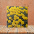 Search for round tiles Floral