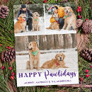 Search for three cats christmas cards Pet