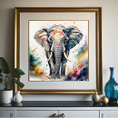 Search for colorful elephant posters Watercolor