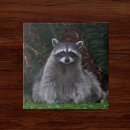 Search for raccoon tiles Cute