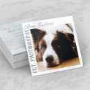 Search for pet photography business cards Border collie