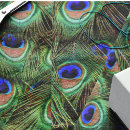 Search for feather tissue paper Victorian
