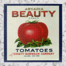 Recherche de tomate puzzles Légumes