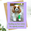 Search for ckcs cards Dog